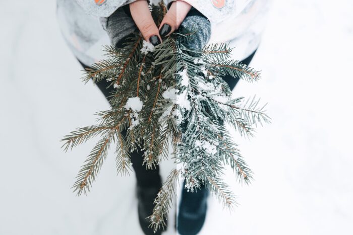 پریست لایت روم Winter - تصویر 2