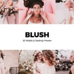 پریست لایت روم Blush