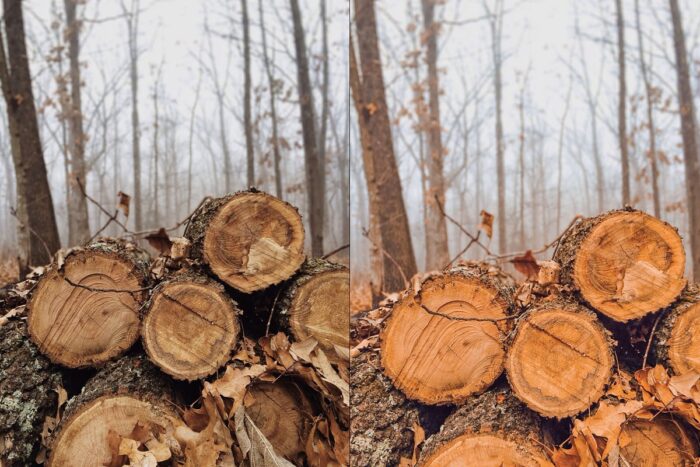 پریست لایت روم Autumn - تصویر 3