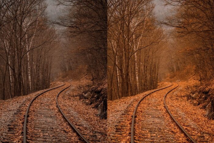 پریست لایت روم Autumn - تصویر 4