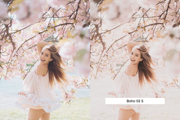 پریست لایت روم Blush - تصویر 2