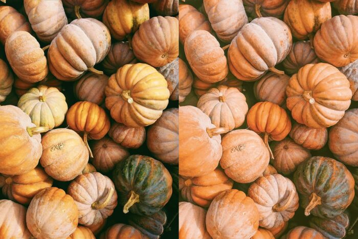 پریست لایت روم Autumn - تصویر 6