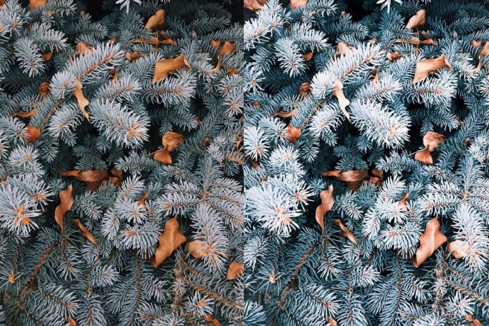 پریست لایت روم Winter - تصویر 7