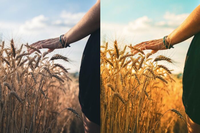 پریست لایت روم Summer - تصویر 6