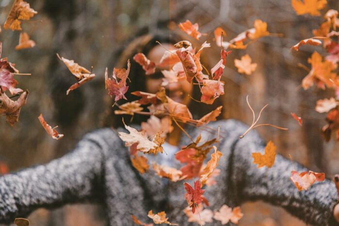 پریست لایت روم Autumn - تصویر 7