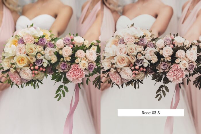 پریست لایت روم Blush - تصویر 5