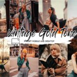 پکیج Vintage Lightroom Preset & LUT