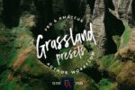 پریست لایت روم grassland - تصویر 9
