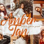 پریست لایت روم Amber