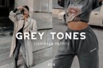 پریست لایت روم GREY TONES