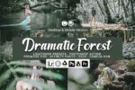 پریست لایت روم Dramatic Forest