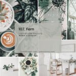 پریست لایت روم 107_Fern