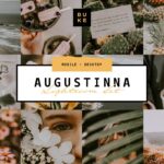 پریست لایت روم Augustina