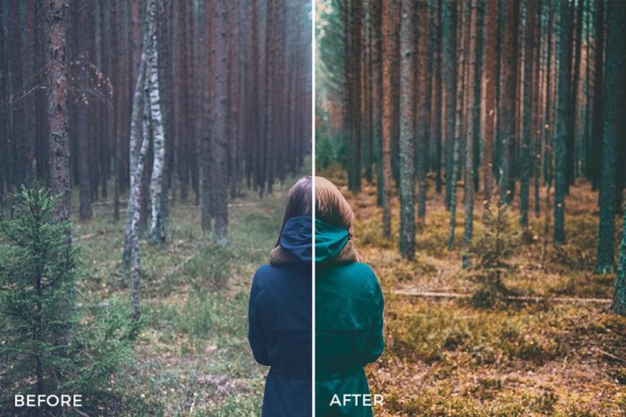 پریست لایت روم Cinematic Lightroom - تصویر 10