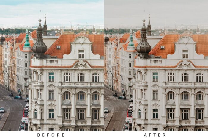 پریست لایت روم Rich Mood - تصویر 10