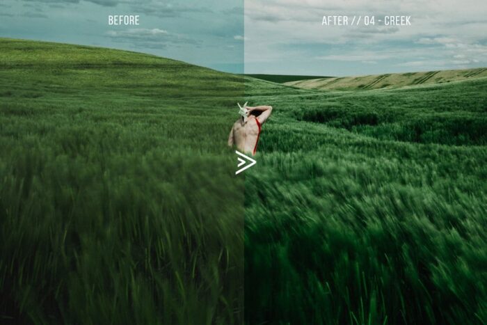 پریست لایت روم grassland - تصویر 12