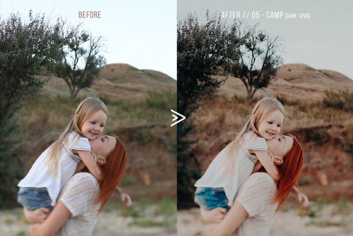 پریست لایت روم grassland - تصویر 4