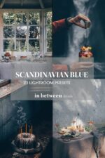 پریست لایت روم Scandinavian blue - تصویر 14