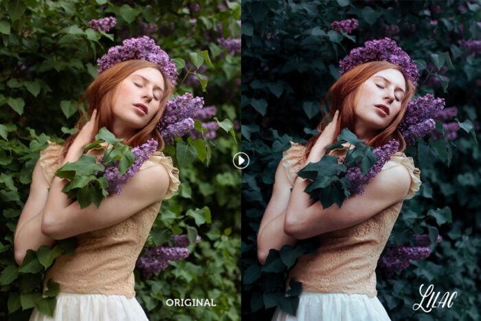 دانلود رایگان پریست لایت روم Lilac - تصویر 2