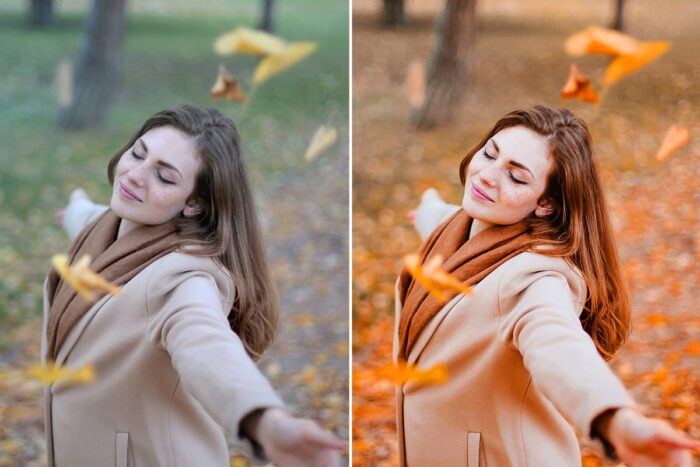 پریست لایت روم MOODY FALL - تصویر 2