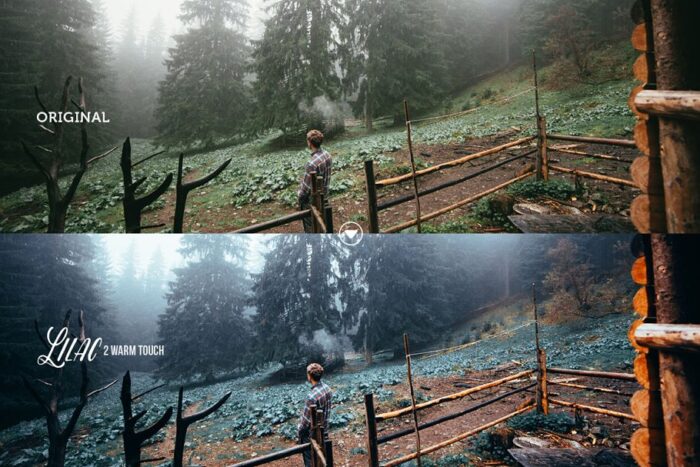 دانلود رایگان پریست لایت روم Lilac - تصویر 3