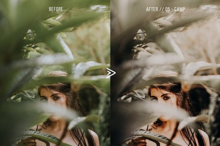 پریست لایت روم grassland - تصویر 3