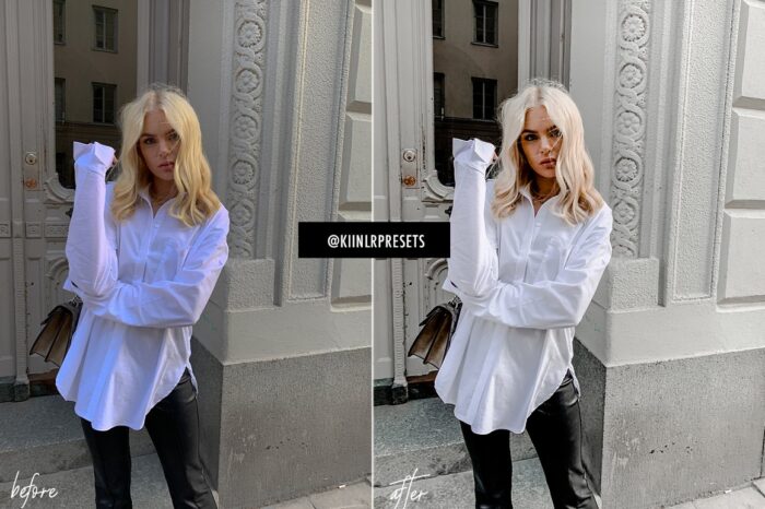 پریست لایت روم GREY TONES - تصویر 4