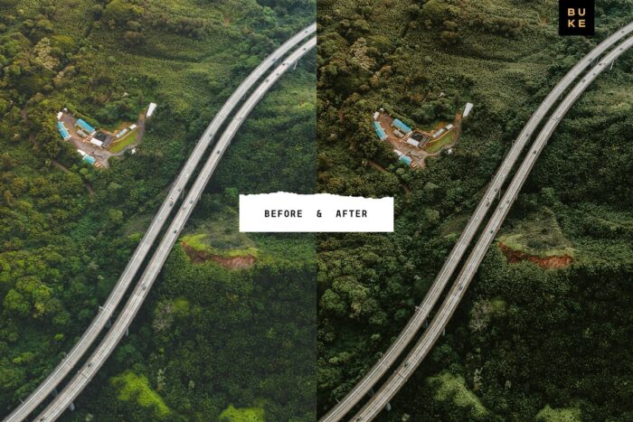 پریست لایت روم Wild Wishes - تصویر 8