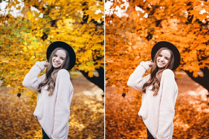 پریست لایت روم MOODY FALL - تصویر 3