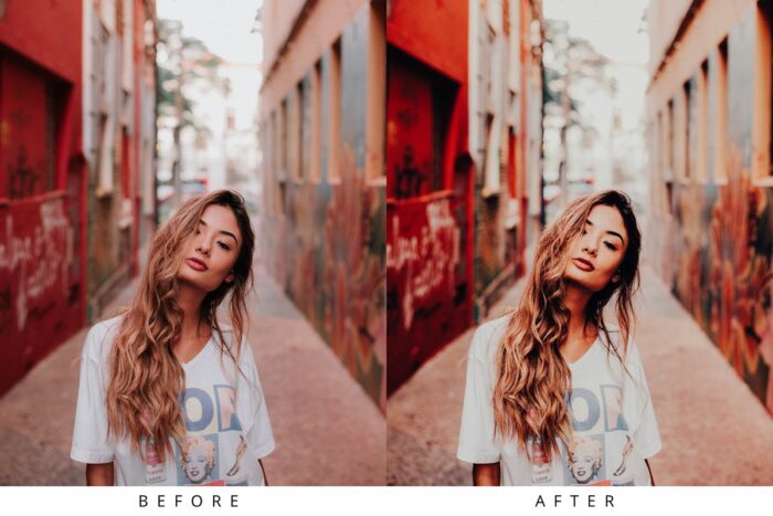 پریست لایت روم Rich Mood - تصویر 3