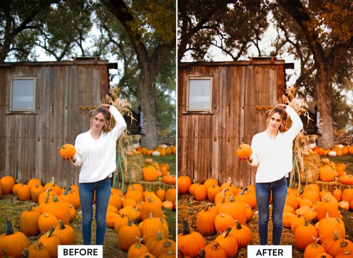 پریست لایت روم Autumn vibes - تصویر 3