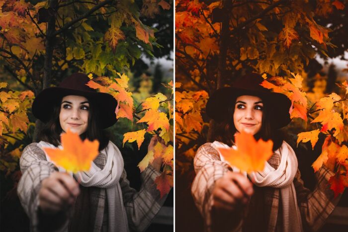 پریست لایت روم MOODY FALL - تصویر 4