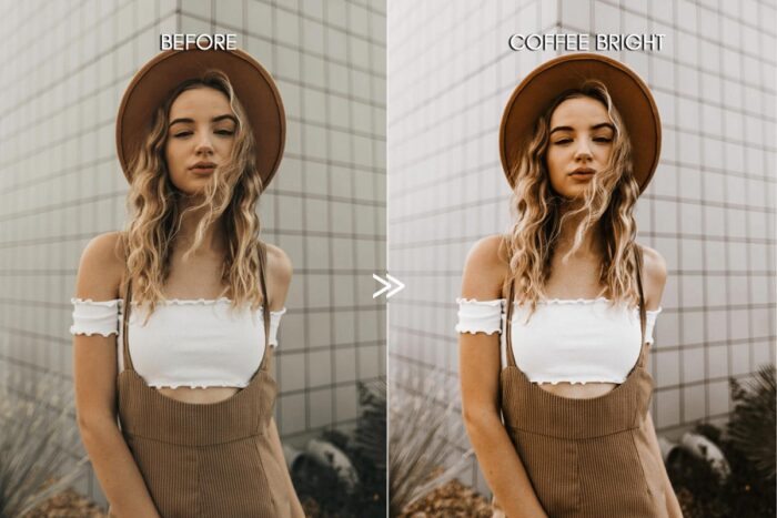 پریست لایت روم Warm Coffee - تصویر 4