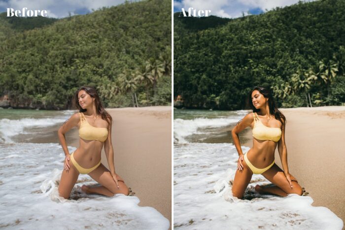 مجموعه 400 پریست لایت روم - تصویر 6