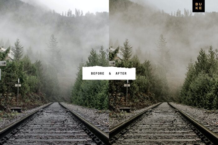 پریست لایت روم Wild Wishes - تصویر 3