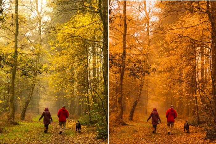 پریست لایت روم MOODY FALL - تصویر 5