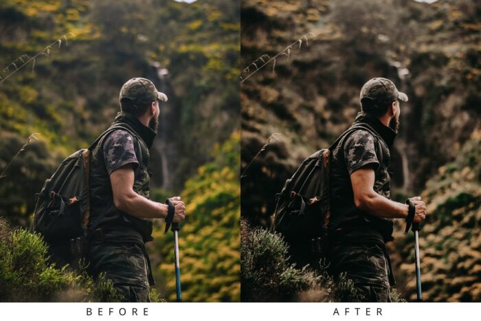 پریست لایت روم Rich Mood - تصویر 5