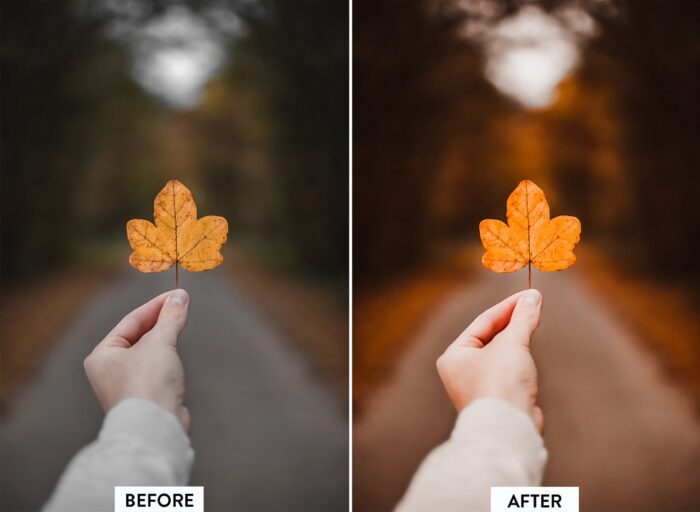 پریست لایت روم Autumn vibes - تصویر 5