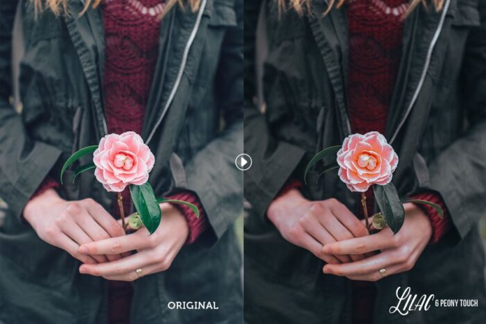 دانلود رایگان پریست لایت روم Lilac - تصویر 6