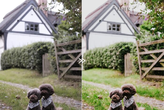 پریست لایت روم Vibrant Spring - تصویر 6