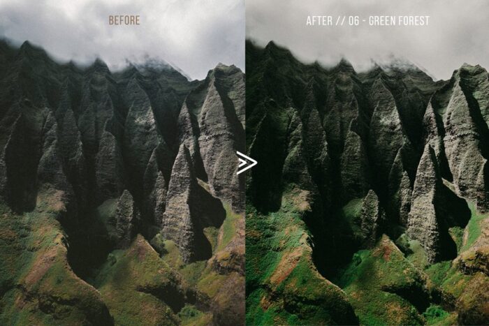 پریست لایت روم grassland - تصویر 5