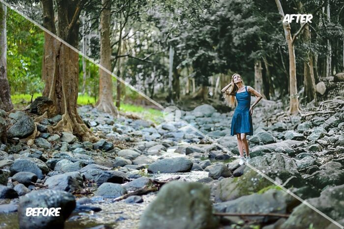 پریست لایت روم Dramatic Forest - تصویر 7