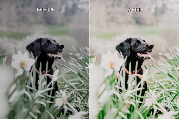 پریست لایت روم Vibrant Spring - تصویر 8