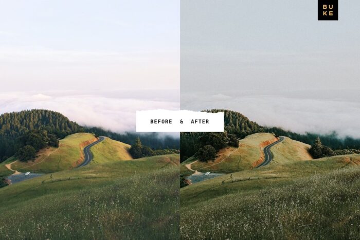 پریست لایت روم Wild Wishes - تصویر 6