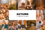 پریست لایت روم Autumn