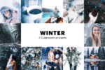 پریست لایت روم Winter