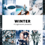 پریست لایت روم Winter