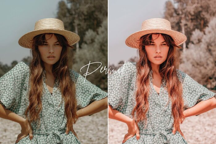 پریست لایت روم Pursuits - تصویر 10