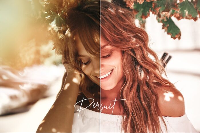 پریست لایت روم Pursuits - تصویر 13