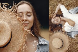 پریست لایت روم Pursuits 